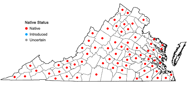Locations ofAnomodon rostratus (Hedwig) Schimper in Virginia