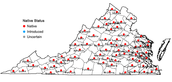 Locations ofAnomodon rostratus (Hedwig) Schimper in Virginia