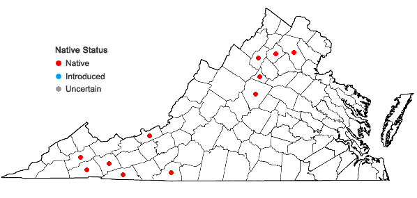 Locations ofAnomodon rugelii (Müll. Hal.) Keissl. in Virginia