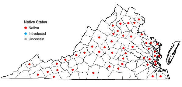 Locations ofAnomodon tristis (Ces.) Sull. & Lesq. in Virginia