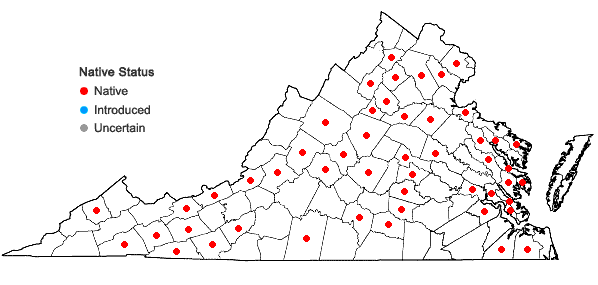Locations ofAnomodon tristis (Ces.) Sull. & Lesq. in Virginia