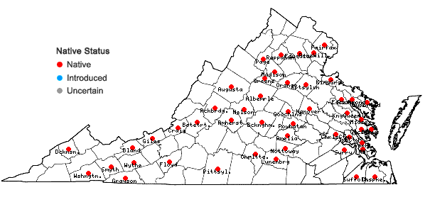 Locations ofAnomodon tristis (Ces.) Sull. & Lesq. in Virginia