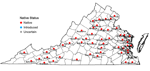 Locations ofAnomodon tristis (Ces.) Sull. & Lesq. in Virginia