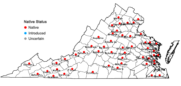 Locations ofAnomodon tristis (Ces.) Sull. & Lesq. in Virginia