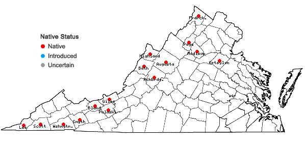 Locations ofAnomodon viticulosus (Hedw.) Hooker & Taylor in Virginia