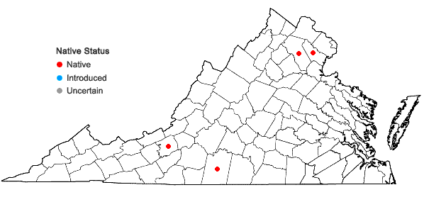 Locations ofAntennaria howellii Greene ssp. petaloidea (Greene) Bayer in Virginia