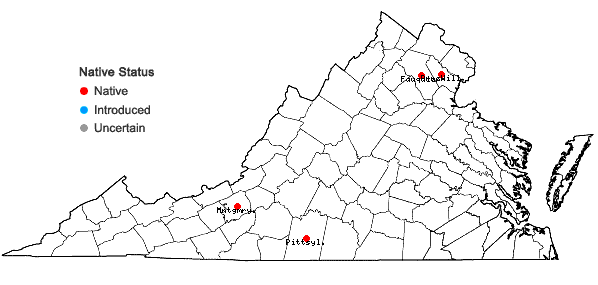 Locations ofAntennaria howellii Greene ssp. petaloidea (Greene) Bayer in Virginia