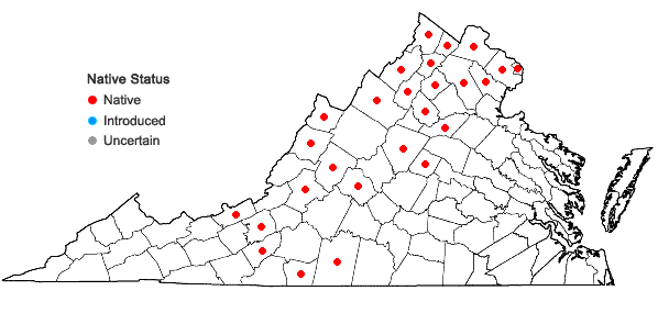 Locations ofAntennaria neglecta Greene in Virginia