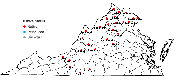 Locations ofAntennaria neglecta Greene in Virginia