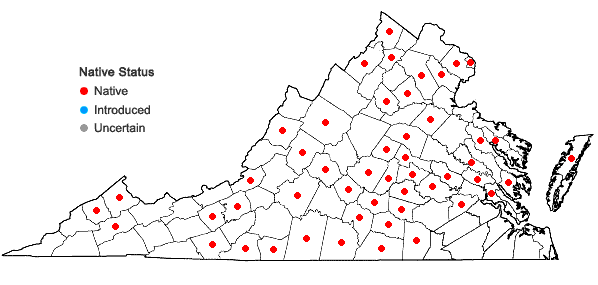 Locations ofAntennaria parlinii Fern. ssp. parlinii in Virginia