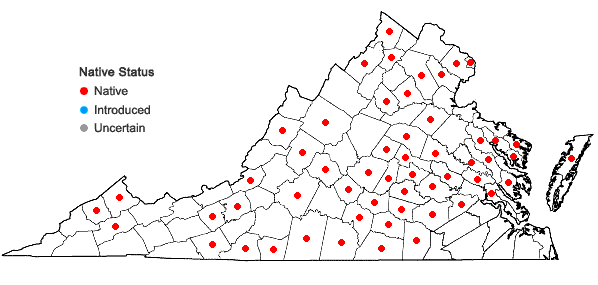 Locations ofAntennaria parlinii Fern. ssp. parlinii in Virginia