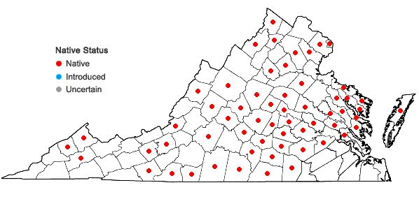 Locations ofAntennaria parlinii Fern. ssp. parlinii in Virginia