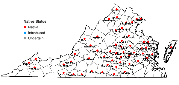 Locations ofAntennaria parlinii Fern. ssp. parlinii in Virginia