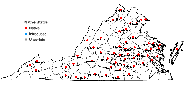 Locations ofAntennaria parlinii Fern. ssp. parlinii in Virginia