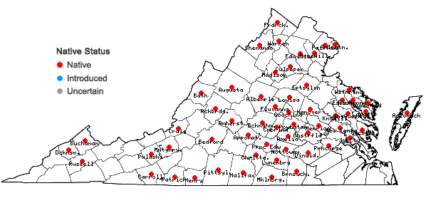 Locations ofAntennaria parlinii Fern. ssp. parlinii in Virginia