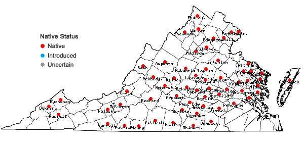 Locations ofAntennaria parlinii Fern. ssp. parlinii in Virginia
