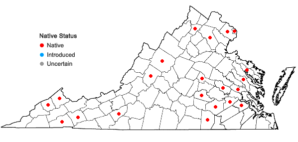 Locations ofAntennaria parlinii Fern. ssp. fallax (Greene) Bayer & Stebbins in Virginia