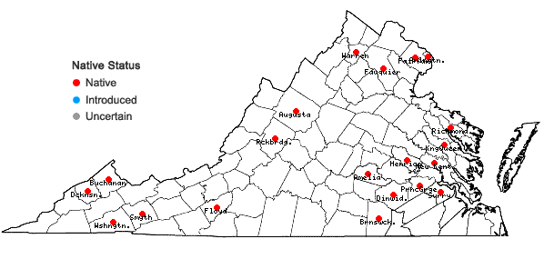 Locations ofAntennaria parlinii Fern. ssp. fallax (Greene) Bayer & Stebbins in Virginia