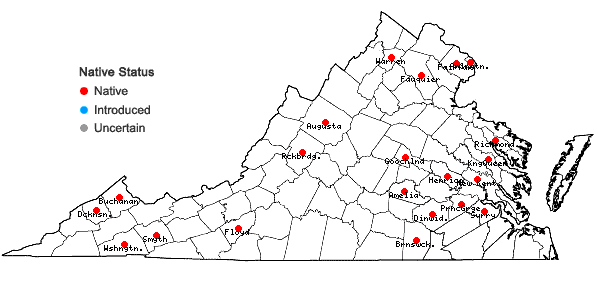 Locations ofAntennaria parlinii Fern. ssp. fallax (Greene) Bayer & Stebbins in Virginia