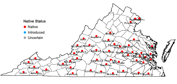 Locations ofAntennaria solitaria Rydb. in Virginia