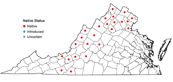 Locations ofAntennaria virginica Stebbins in Virginia