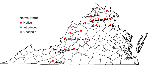 Locations ofAntennaria virginica Stebbins in Virginia