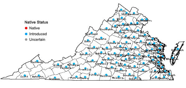 Locations ofAnthemis arvensis L. in Virginia