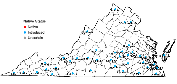 Locations ofAnthemis cotula L. in Virginia