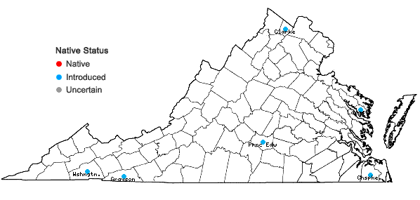 Locations ofAnthoxanthum aristatum Boiss. in Virginia