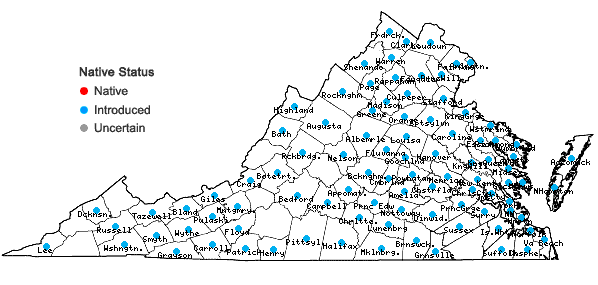 Locations ofAnthoxanthum odoratum L. in Virginia