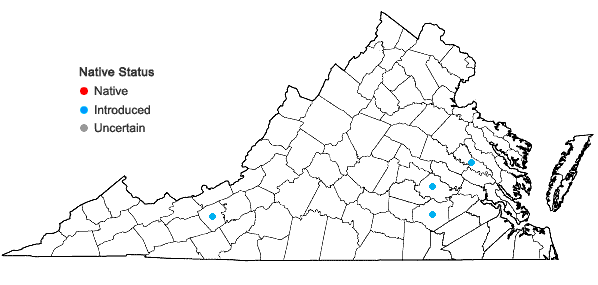 Locations ofAnthriscus caucalis Bieb. in Virginia