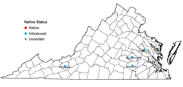 Locations ofAnthriscus caucalis Bieb. in Virginia