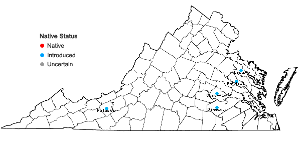 Locations ofAnthriscus caucalis Bieb. in Virginia