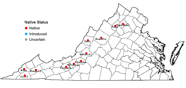 Locations ofAnticlea glauca Kunth in Virginia
