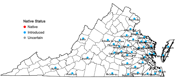 Locations ofAphanes australis Rydberg in Virginia
