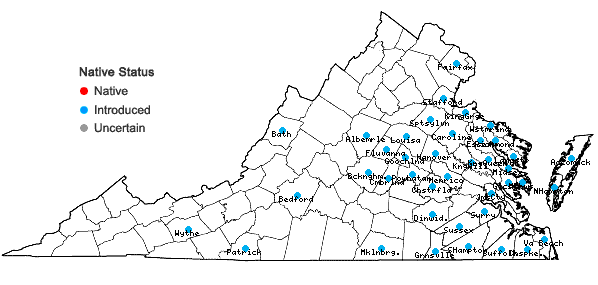 Locations ofAphanes australis Rydberg in Virginia