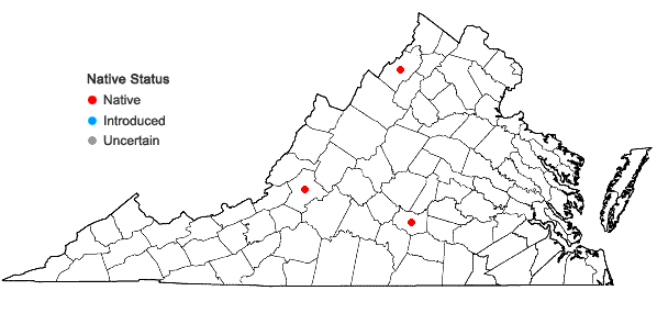 Locations ofAphanorrhegma serratum (Hook. & Wilson) Sull. in Virginia