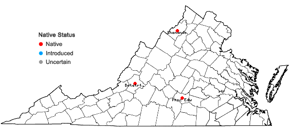 Locations ofAphanorrhegma serratum (Hook. & Wilson) Sull. in Virginia