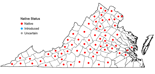 Locations ofAphyllon uniflorum L. in Virginia