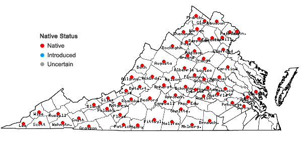 Locations ofAphyllon uniflorum L. in Virginia