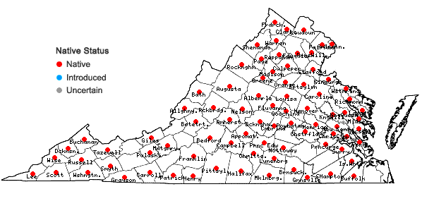 Locations ofAplectrum hyemale (Muhl. ex Willd.) Torrey in Virginia