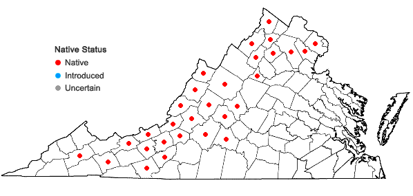 Locations ofApocynum androsaemifolium L. in Virginia