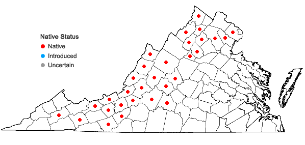 Locations ofApocynum androsaemifolium L. in Virginia