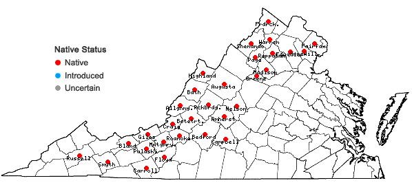 Locations ofApocynum androsaemifolium L. in Virginia