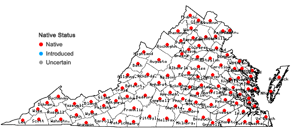 Locations ofApocynum cannabinum L. in Virginia