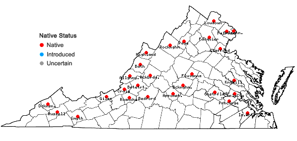 Locations ofApocynum sibiricum Jacq. in Virginia