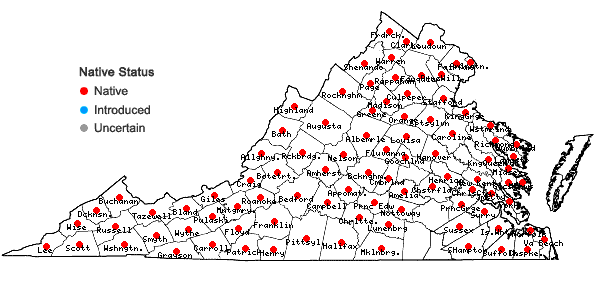 Locations ofAquilegia canadensis L. in Virginia