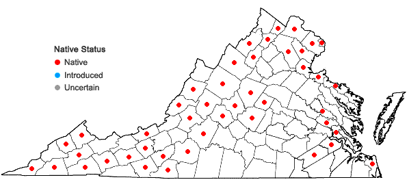 Locations ofArabidopsis lyrata (L.) O'Kane & Al-Shehbaz ssp. lyrata in Virginia