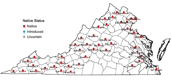 Locations ofArabidopsis lyrata (L.) O'Kane & Al-Shehbaz ssp. lyrata in Virginia