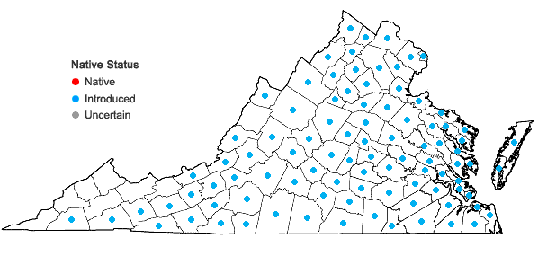 Locations ofArabidopsis thaliana (Linnaeus) Heynhold in Virginia